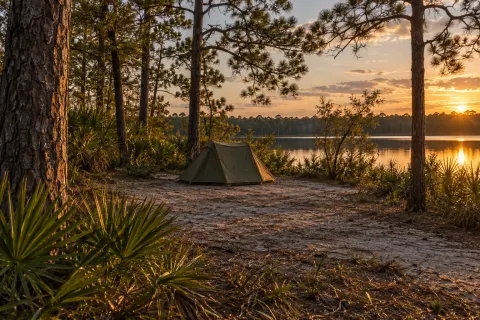 Illustrative lakeside campsite in Florida pine woods